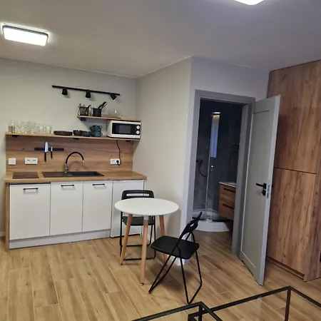 Apartamenty-Dom Pod Sosna Gniezno Exterior photo