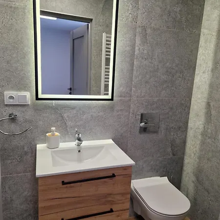 Apartamenty-Dom Pod Sosna Gniezno Exterior photo