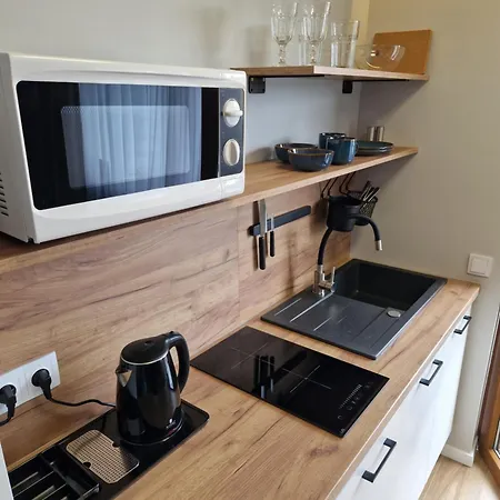 Apartamenty-Dom Pod Sosna Gniezno Exterior photo
