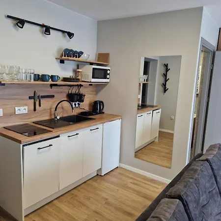 Apartamenty-Dom Pod Sosna Gniezno Exterior photo