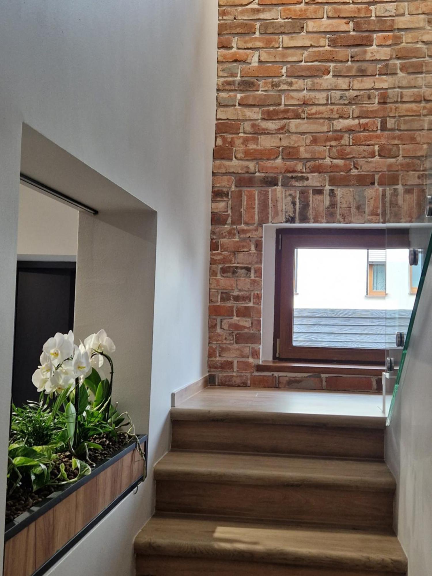 Apartment Apartamenty-dom Pod Sosna *