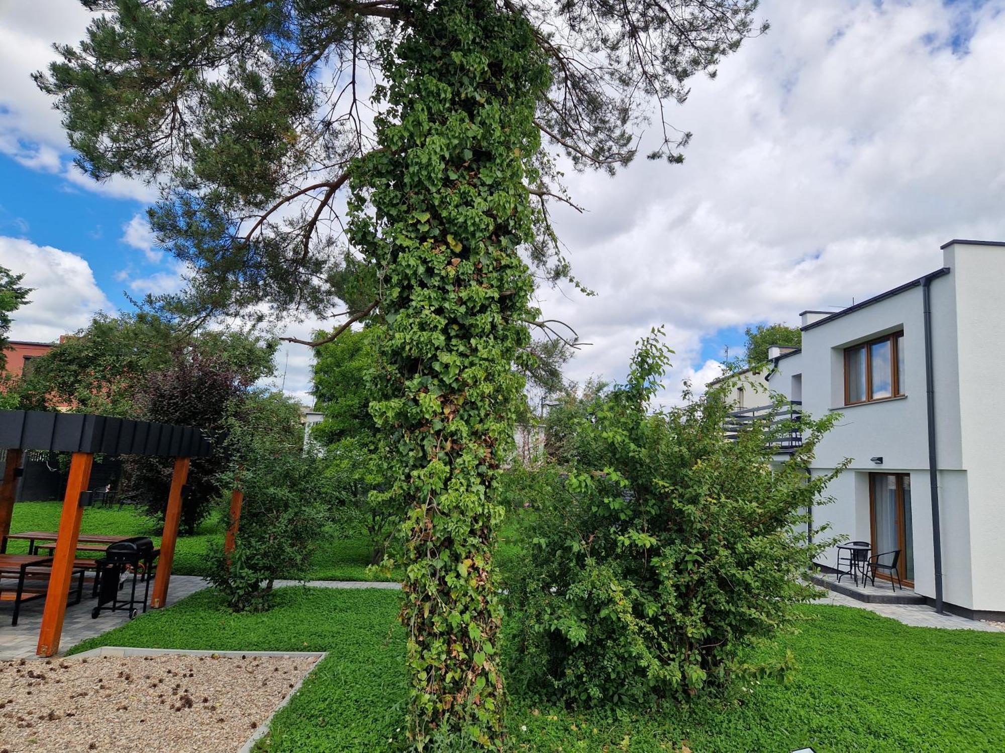 Apartamenty-dom Pod Sosna Apartment Gniezno